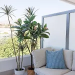 Ranhomes Appartement
